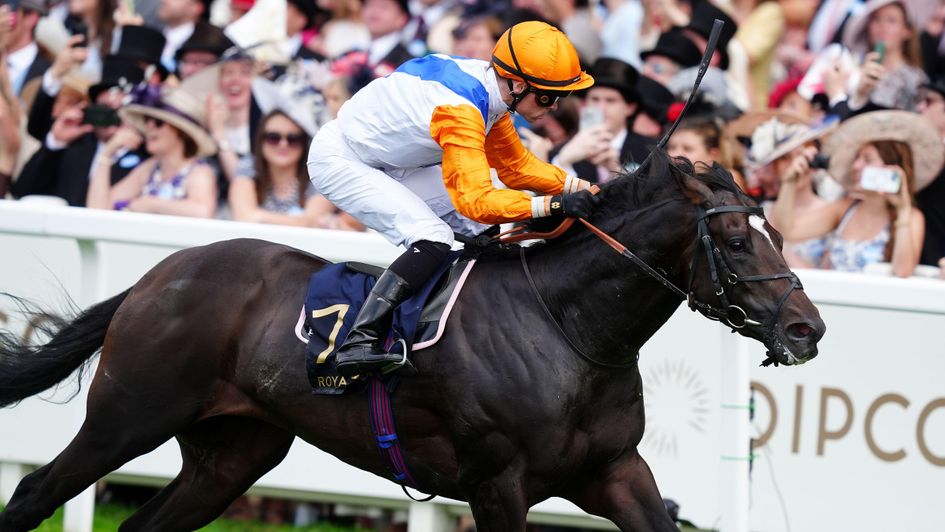 Kieran Shoemark celebrates as Noble Champion wins