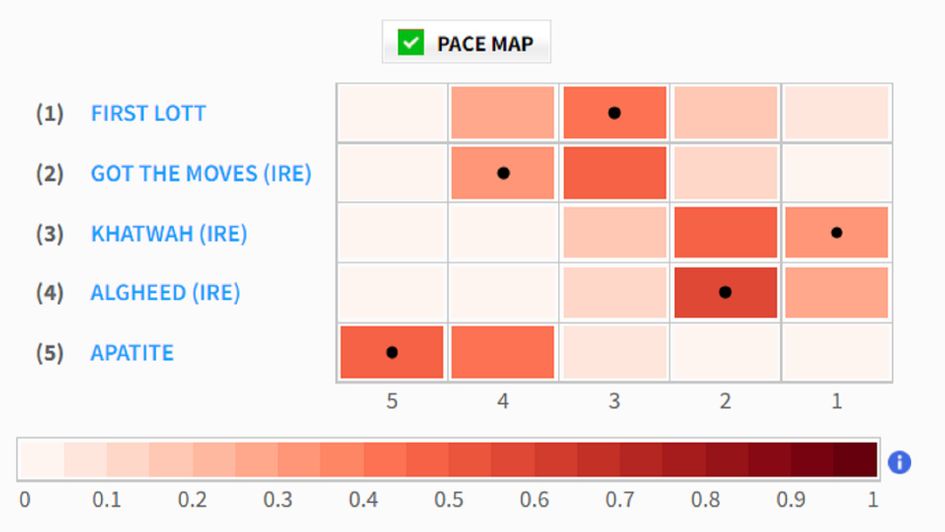 Wolverhampton pace map