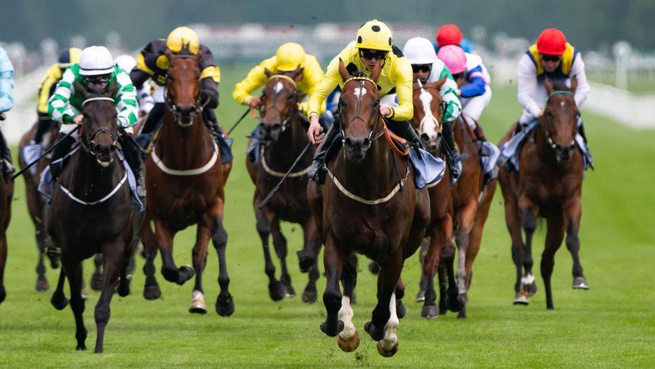 Relief Rally (left) chases home Elite Status at Newbury