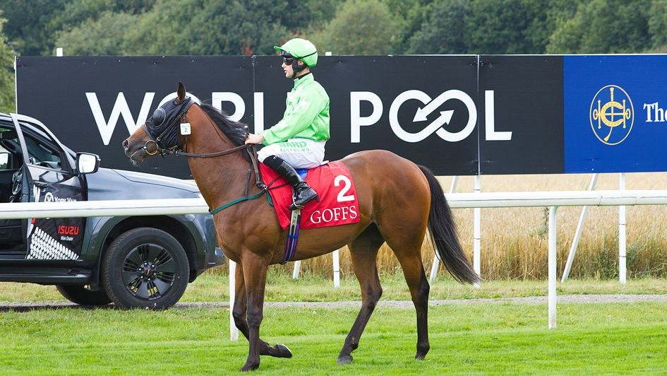 World Pool action from York