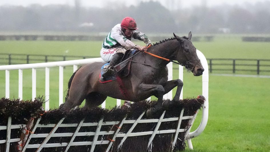 Sam Ewing and The Yellow Clay clear the last at Naas