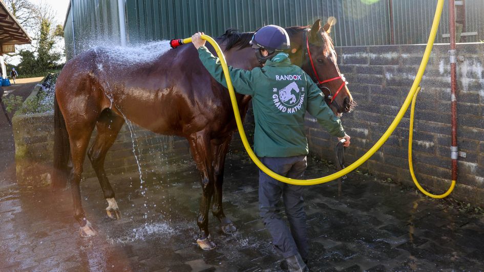 Minella Times gets washed down on Thursday