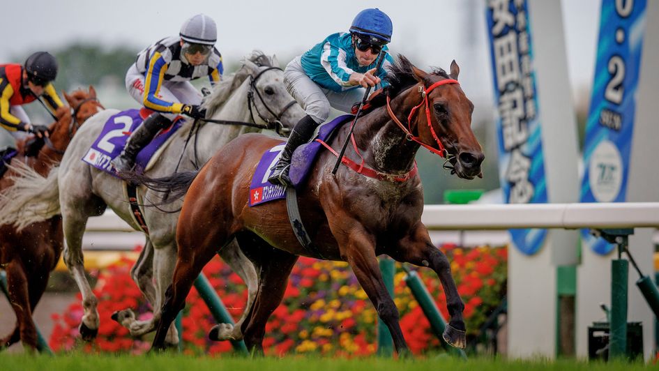 Romantic Warrior and James McDonald conquer Japan