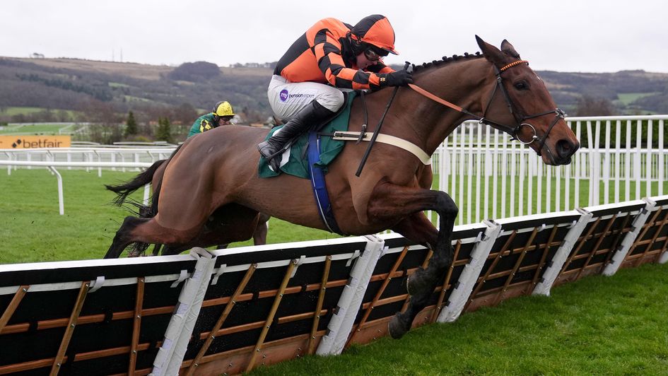 Diva Luna jumps the last en route to glory at Cheltenham