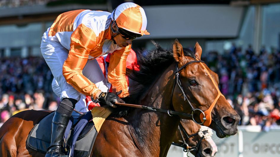 Jayarebe wins at Royal Ascot