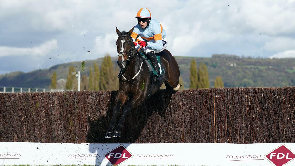 My Mate Mozzie in full flow over fences