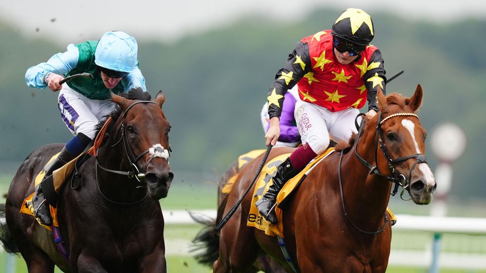 Montassib hits the line in front in the Betfair Sprint Cup