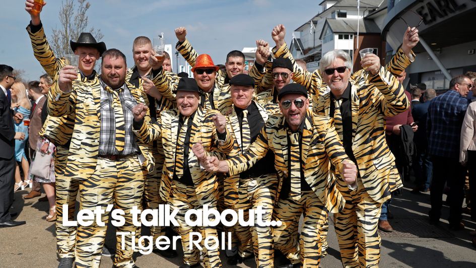 Tiger Roll fans pictured at Aintree