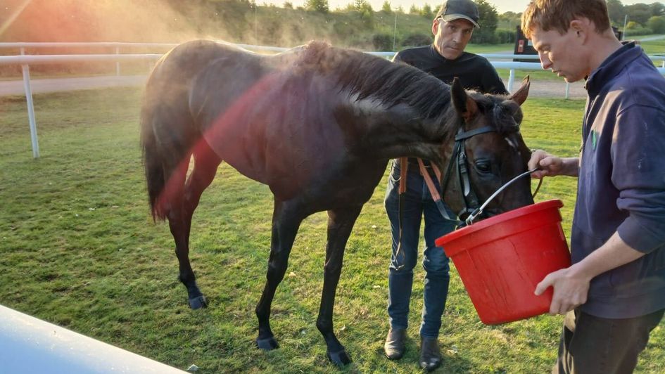 Ambiente Friendly has a drink on the July Course