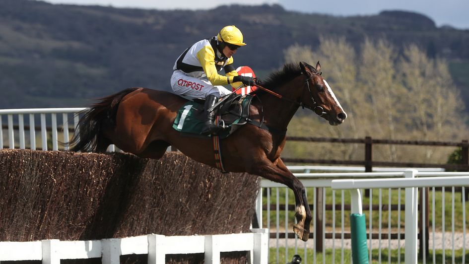 Win My Wings and Nick Schofield in action at Cheltenham