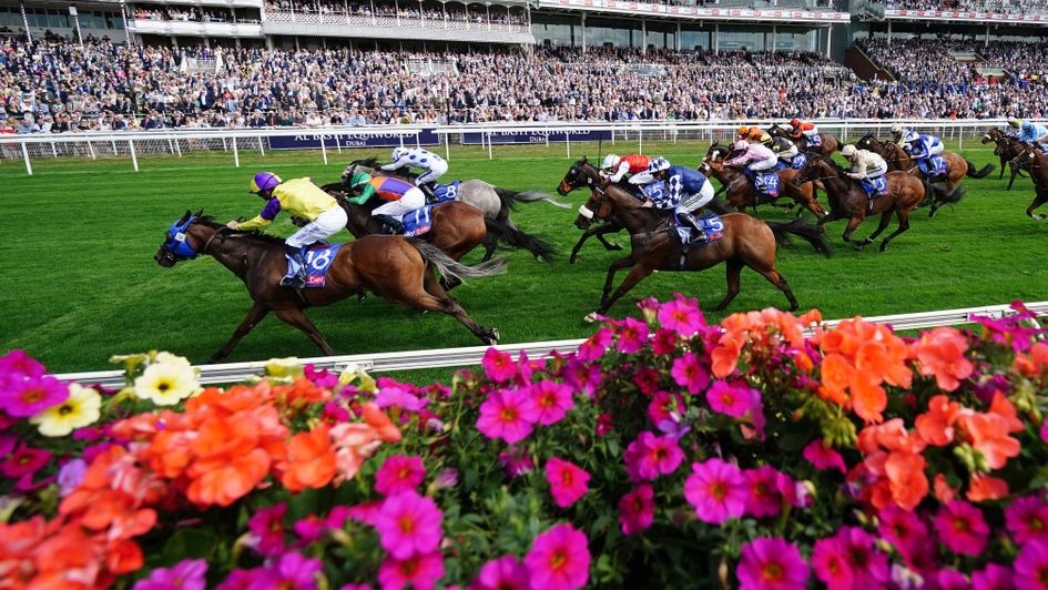 Bergerac edges the opener at York