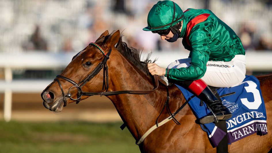 Tarnawa wins the Breeders' Cup Turf