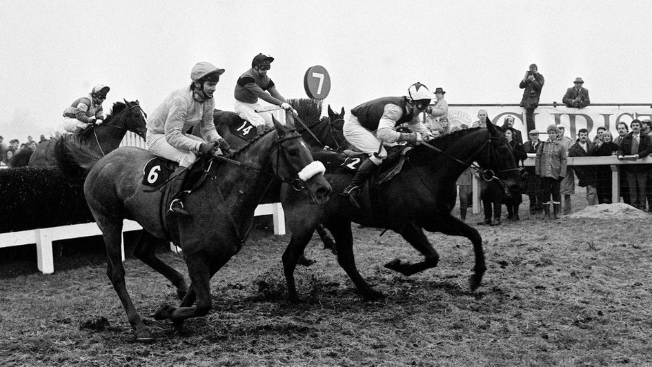 Forgive 'N Forget (nearside) won a Gold Cup