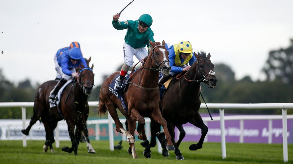 Mile hope Decorated Knight still somehow flies under the radar