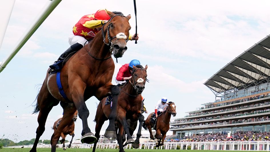 State Of Rest wins the Prince of Wales's Stakes