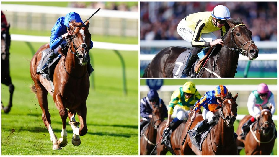 Saturday's bit two-year-old winners at Newmarket