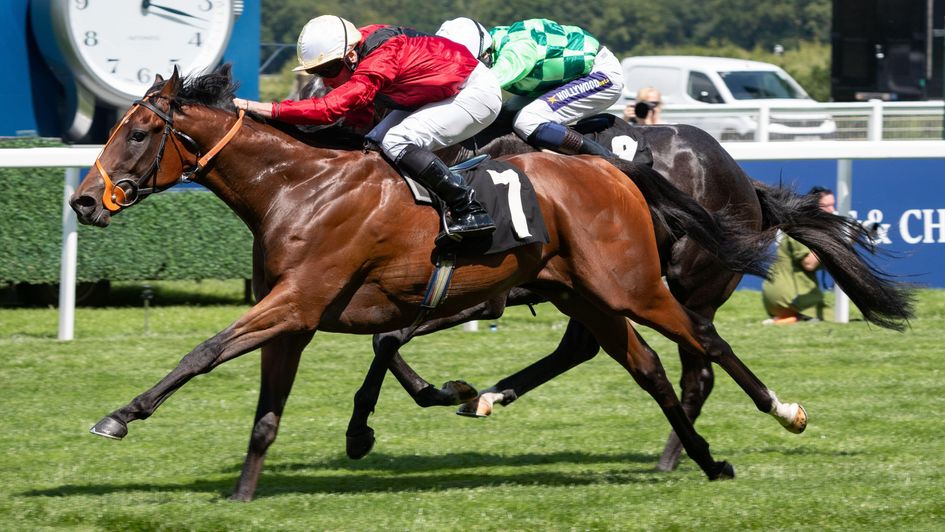 Our Terms makes a winning debut at Ascot