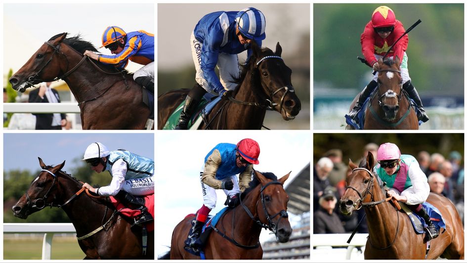 York's Ebor Festival features some of the best horses in Britain and Ireland