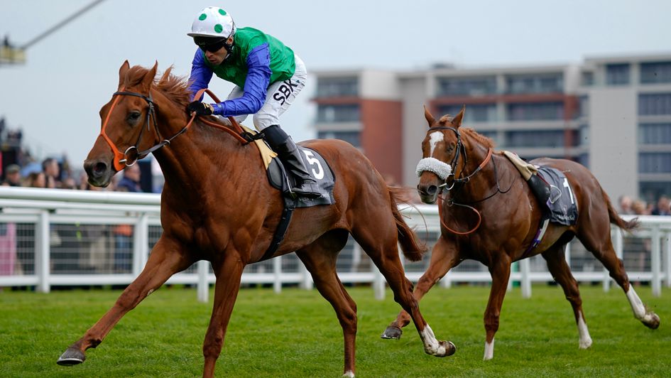 Isaac Shelby leads home the riderless Chaldean