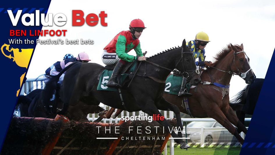 Our flagship tipster picks out the value at Cheltenham