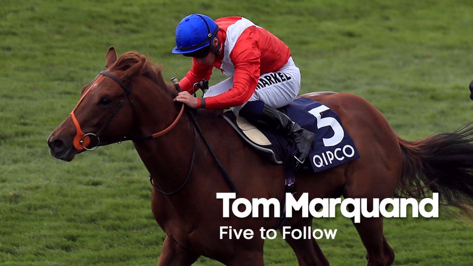 Threat will be a big player in the top races this term, according to Tom Marquand