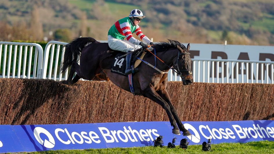 Chatham Street Lad is out on his own at Cheltenham