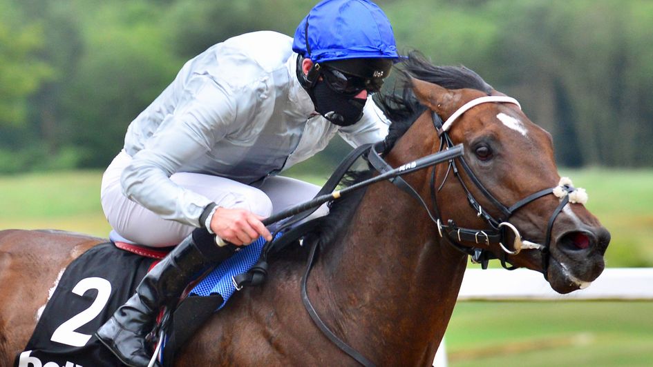 Palace Pier wins at Newcastle