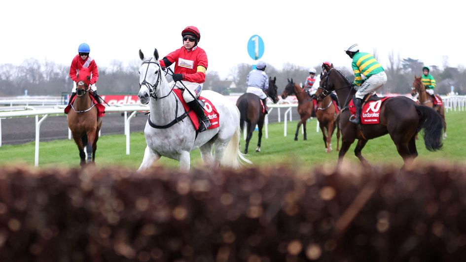 Grey Dawning before the start of the King George