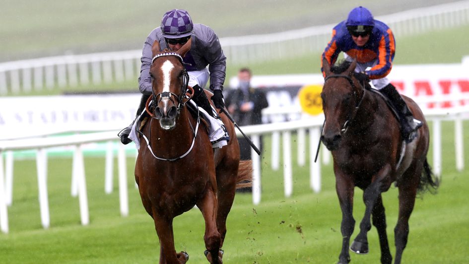 Mac Swiney shows a fine attitude to win the Irish 2,000 Guineas