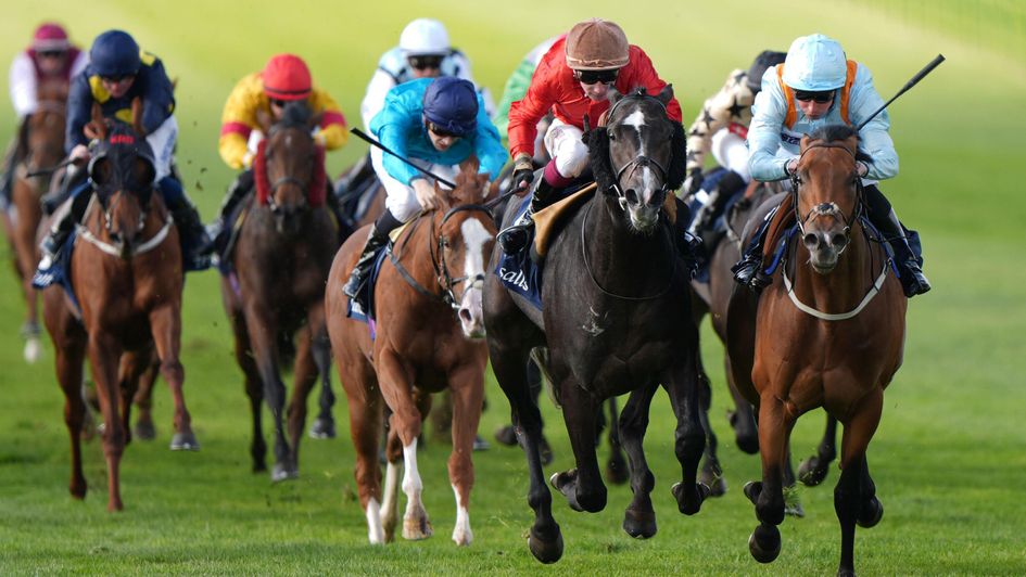 The Dragon King sweeps to the front at Newmarket