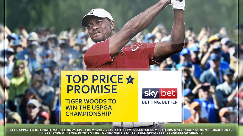 Top price on Tiger Woods in the US PGA