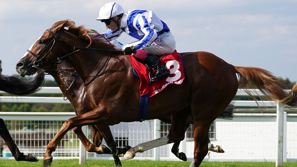 Devil's Point - German 2000 Guineas hero