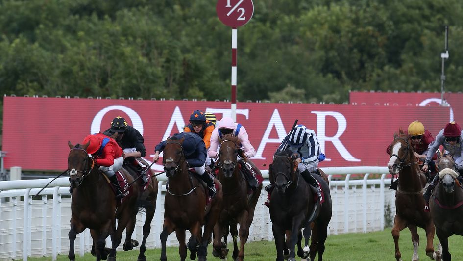 Take Cover wins at Goodwood