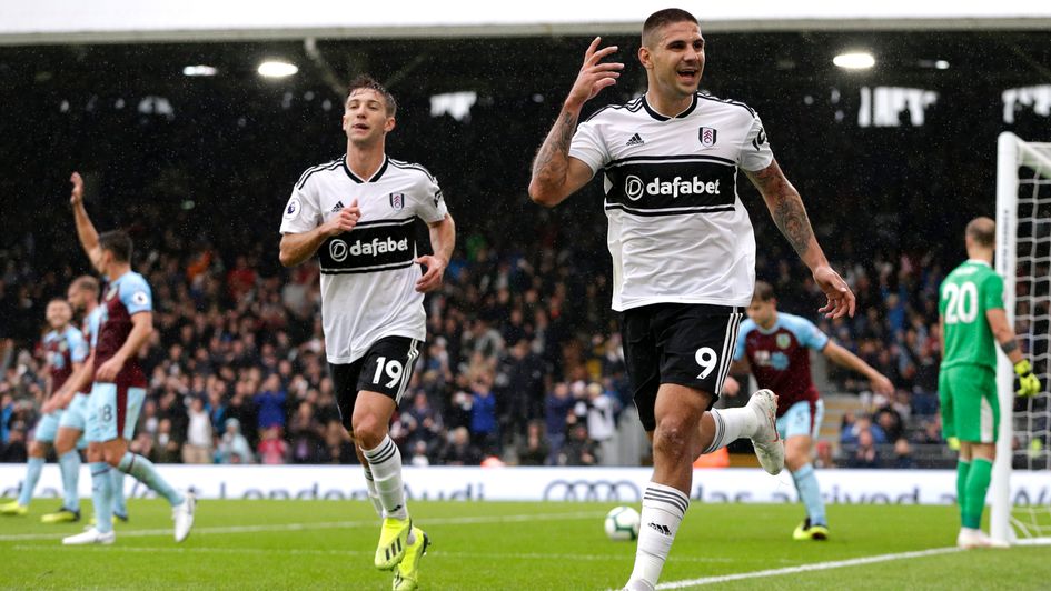 Aleksandar Mitrovic: The Fulham striker celebrates his strike v Fulham