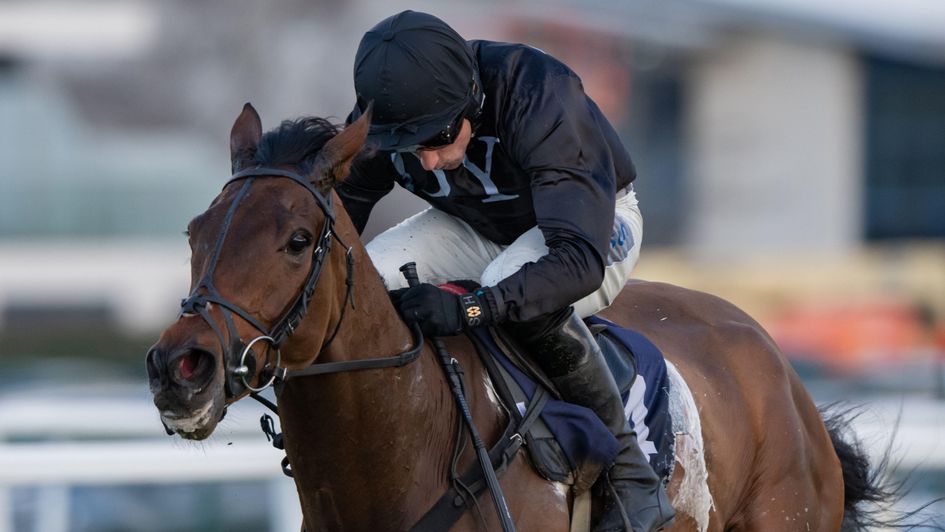 Harry Skelton and The New Lion are in control