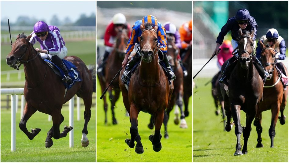 Aidan O'Brien's Betfred Derby team