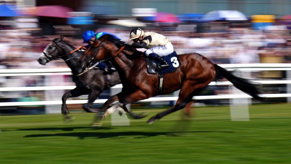 Prince Of India completes the double