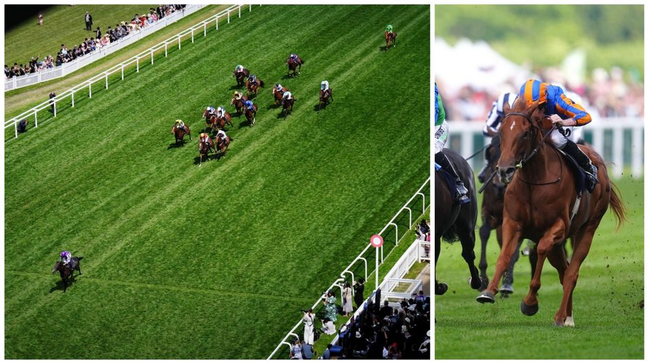 The Ballydoyle two-year-old fillies shine at Royal Ascot