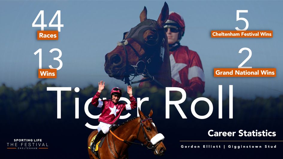 Tiger Roll's stunning career statistics