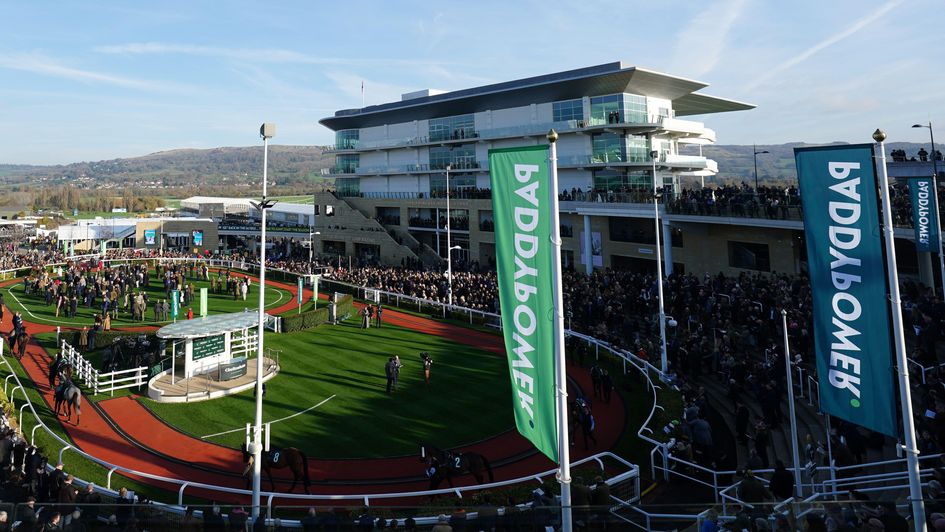 Cheltenham - staged Friday press conference