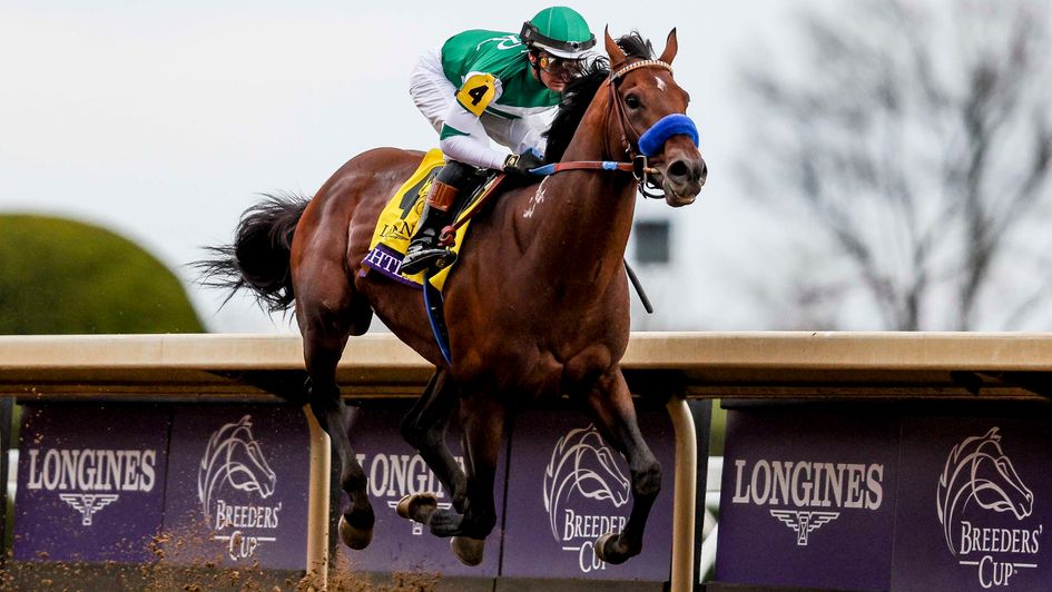 Flightline stretches clear in the Classic (courtesy of Breeders' Cup)