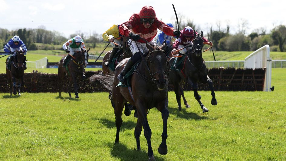 Blue Lemons is clear under Paul Townend