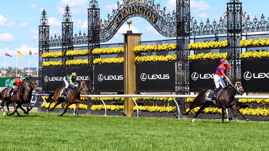 Verry Elleegant wins the Melbourne Cup