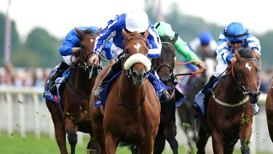 Queen Me running on in the Lowther at York