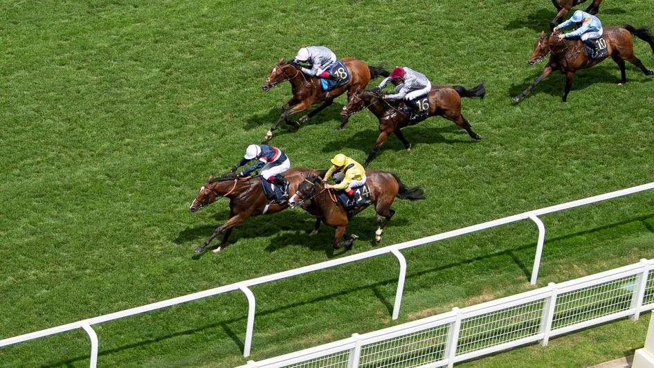 Sir Busker (white cap) on his way to winning the Silver Hunt Cup at Royal Ascot