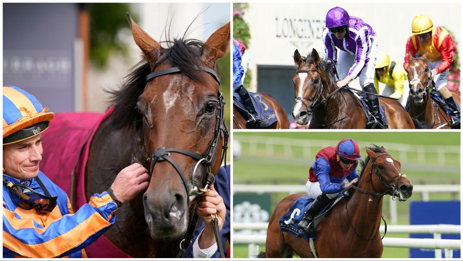 Three of Aidan O'Brien's likely Leger contenders