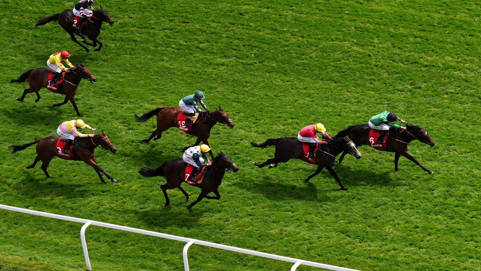 Blue Storm lands the 3YO Dash at Epsom