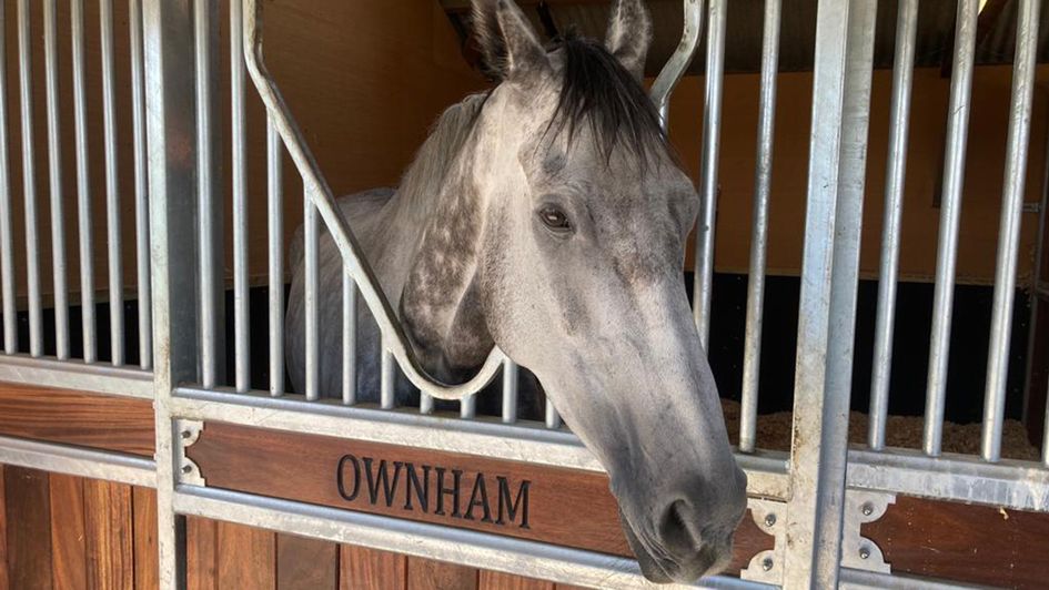 Monviel in his stable