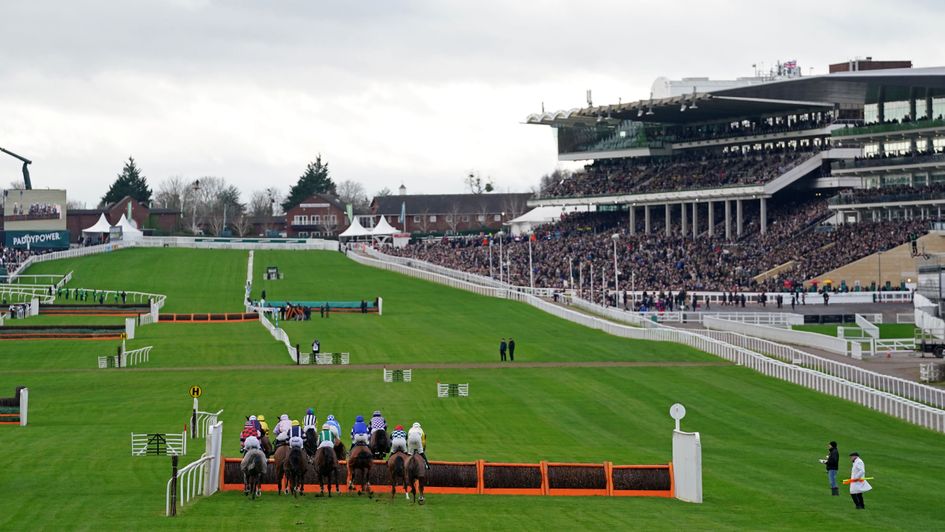 Cheltenham - watering under way