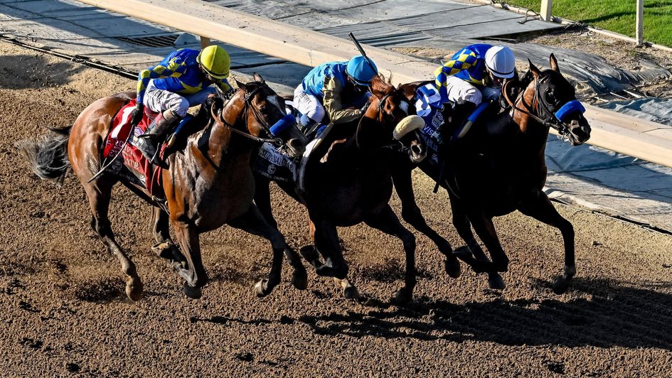 Subsanador (centre, white noseband) is set to take on City Of Troy